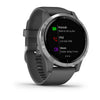 Garmin Vivoactive 4 Shadow Grey with Silver Hardware