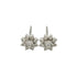 9ct white gold diamond cluster stud earrings with floral design and lever-back fastening, 0.09ct total diamond weight