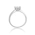 1ct 6 Claw Pavé Moissanite Ring – M06A - Cassim & Co South Africa