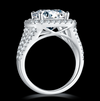 5ct Round Halo Moissanite Ring